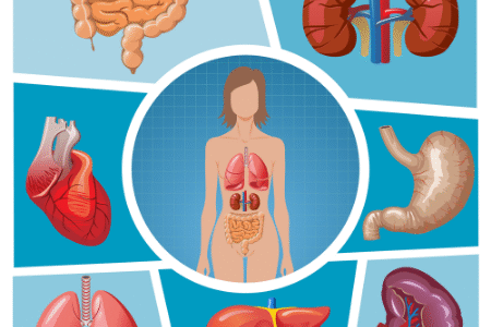 CURSO EXTENSO REGENERACIÓN DE ÓRGANOS
