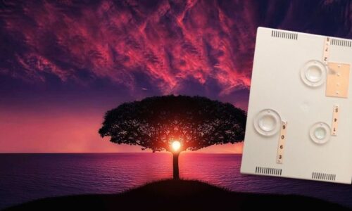 CURSO PRK-1U: Secuencia para desarrollar la clarividencia, intuición y vida eterna