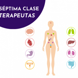 – SÉPTIMA CLASE – CURSO EXTENSO REGENERACIÓN DE ÓRGANOS – TERAPEUTAS